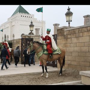 Meet your Posher, Freda